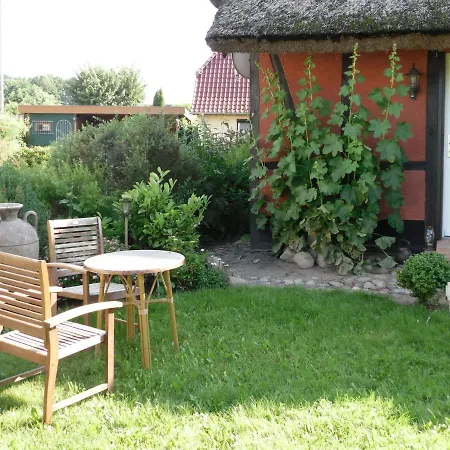 Ferienhaus Cozy Mansion In Artist Studio In With Terrace Steffenshagen