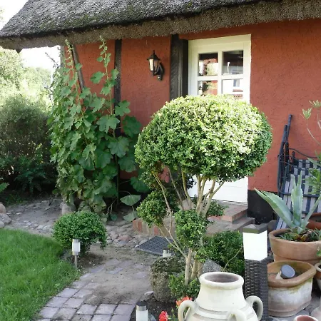 Ferienhaus Cozy Mansion In Artist Studio In With Terrace